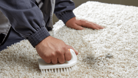 Professional Rug Cleaning Prahran